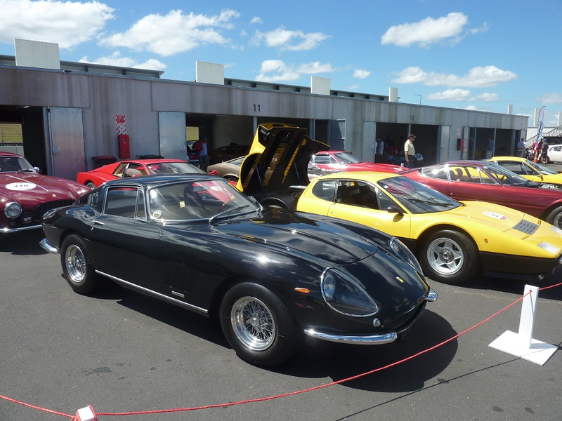 Illustration for article titled Ferraris at the NZ Festival of Motor Racing